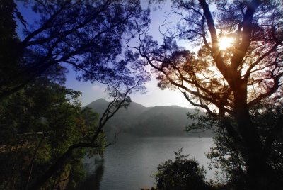 Shing Mun_0035-w.jpg