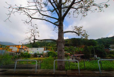 Village_0064-w.jpg