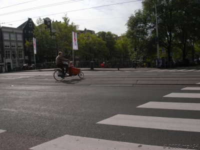 g3/49/522949/3/102041323.OGdltM78.jpg