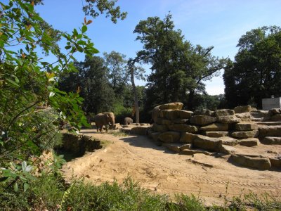 Emmen - Noorder Dieren park