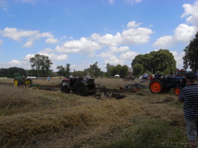 Harvest Day - Hardenberg
