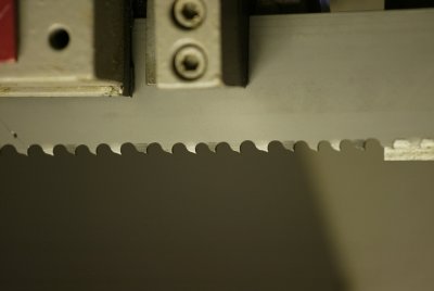 Teeth