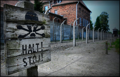 (Poland) Auschwitz - Birkenau