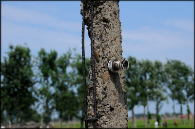 Birkenau