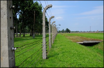 Birkenau