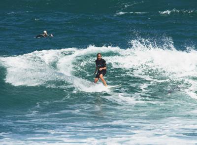 Surfer Girl - Bell's Beach