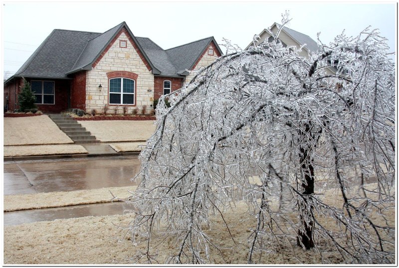 IMG_4366.Ice Storm.jpg
