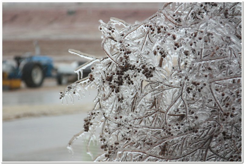 IMG_4404.Ice Storm.jpg