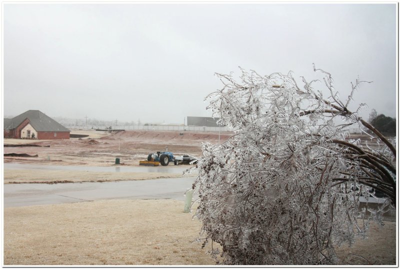 IMG_4405.Ice Storm.jpg