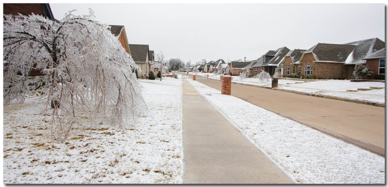 IMG_4434_Ice Storm.jpg