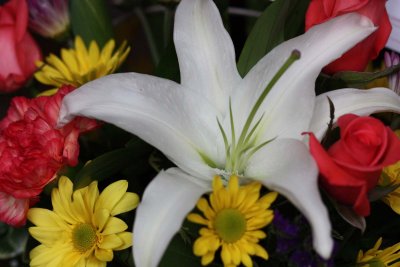 IMG_1817b.jpg