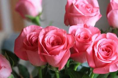 IMG_1857ap.jpg