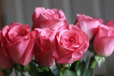 IMG_1858aq.jpg