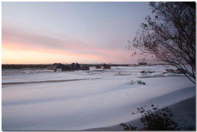 IMG_4208a.jpg