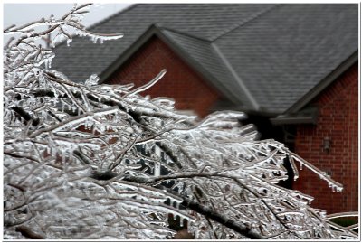 IMG_4353.Ice Storm.jpg
