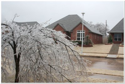 IMG_4358.Ice Storm.jpg