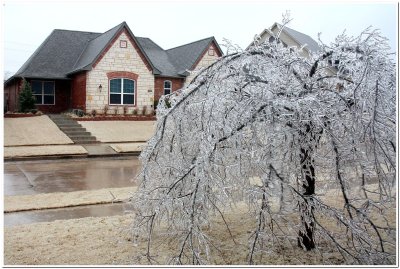 IMG_4366.Ice Storm.jpg