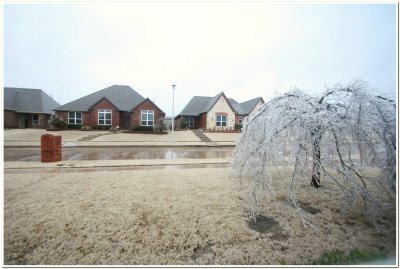 IMG_4380.Ice Storm.jpg