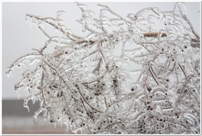 IMG_4403.Ice Storm.jpg