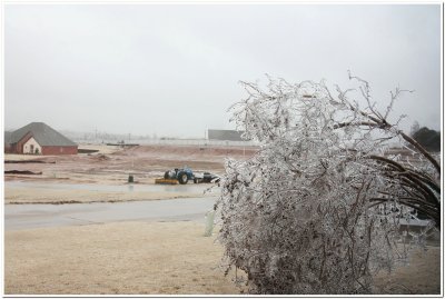 IMG_4405.Ice Storm.jpg