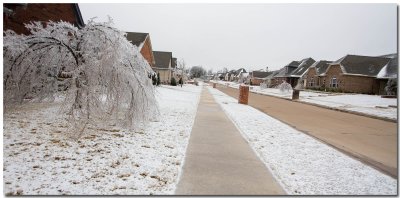 IMG_4435_Ice Storm.jpg