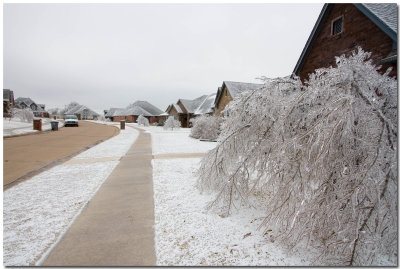 IMG_4440_Ice Storm.jpg