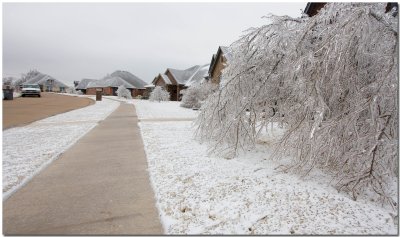 IMG_4442_Ice Storm.jpg