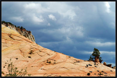 Slick Rock, East Zion