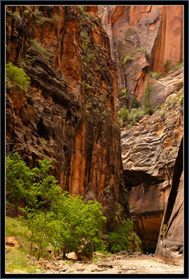 Zion Narrows