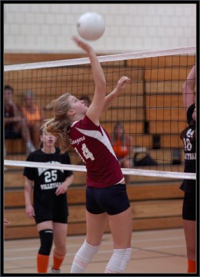 @ Marlborough - 006