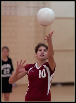 @ Marlborough - 009