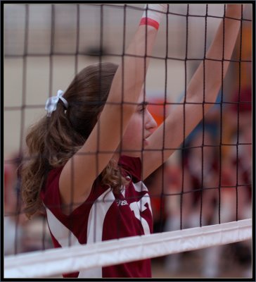 @ Marlborough - 011