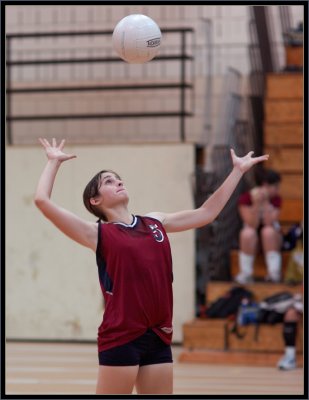 @ Marlborough - 022