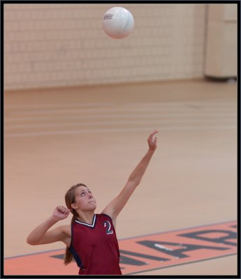 @ Marlborough - 031