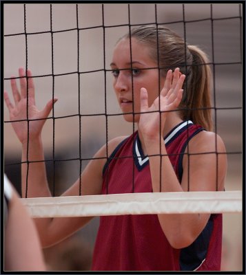@ Marlborough - 034