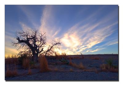 g3/49/546949/3/54839955.HDR222025frames.jpg