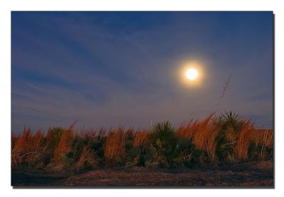 g3/49/546949/3/55067054._MG_2121moonframes.jpg