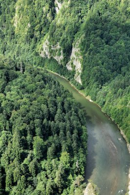 Dunajec river - view from Sokolica Mount.jpg