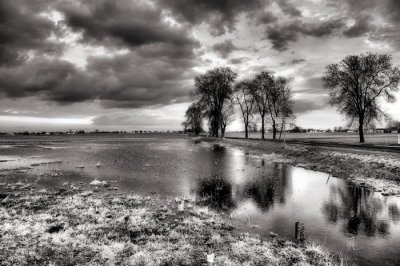 DSC_0866.jpg