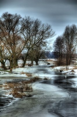 DSC_3437.jpg