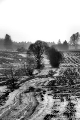 DSC_0240.jpg