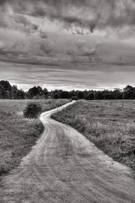 DSC_5525.jpg