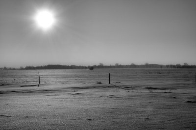 DSC_9526.jpg