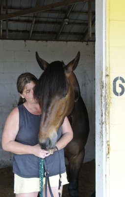 Anki Wernis & Lady Luck