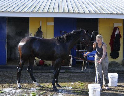 Spring Garden Ranch 2008