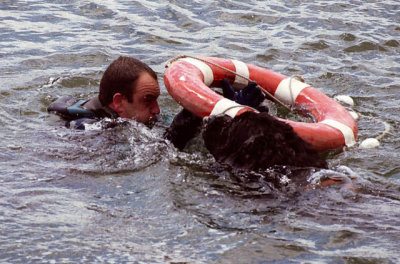 Brest 2000 Newfoundlander demonstration