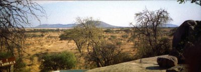 Serengeti
