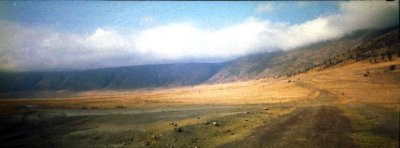 Ngorongoro