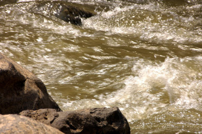 _DSC0076.JPG