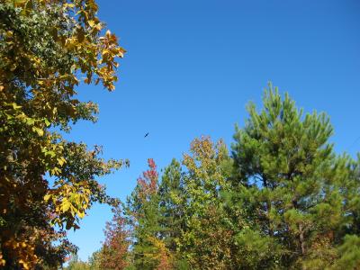 Fall 2005